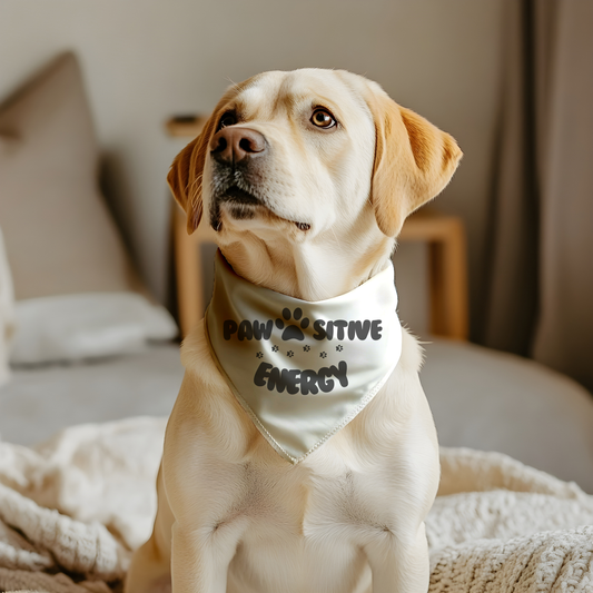 Positive Energy Pet Bandana Collar - Fun & Stylish Accessories for Dogs